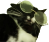 IntenseBucket's picture IntenseBucket's picture