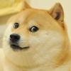 whamer100_'s picture whamer100_'s picture