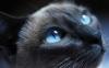 fisto456's picture fisto456's picture