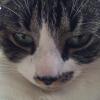 dmorrow3's picture dmorrow3's picture