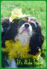 RSNCrafting's picture RSNCrafting's picture