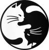 0wUCat's picture 0wUCat's picture