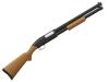 10Gauge_Shotgun's picture 10Gauge_Shotgun's picture