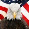 birdwatcher7's picture birdwatcher7's picture
